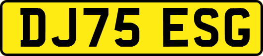 DJ75ESG