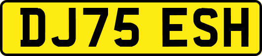 DJ75ESH