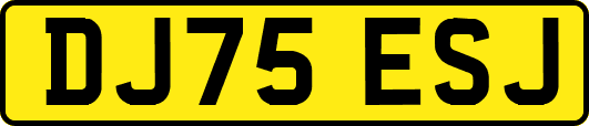 DJ75ESJ