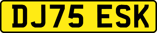 DJ75ESK