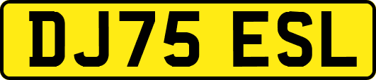 DJ75ESL