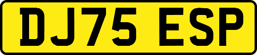 DJ75ESP