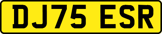 DJ75ESR
