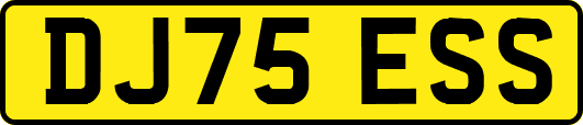 DJ75ESS