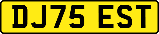 DJ75EST