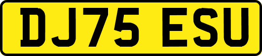 DJ75ESU