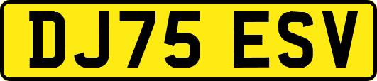 DJ75ESV