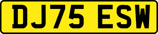 DJ75ESW