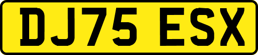 DJ75ESX