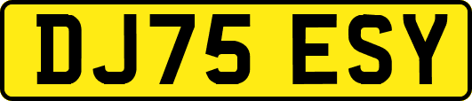 DJ75ESY