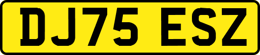DJ75ESZ