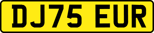 DJ75EUR