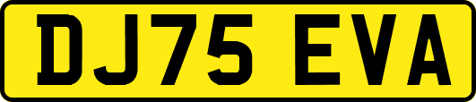 DJ75EVA