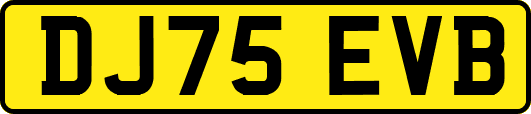 DJ75EVB