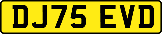 DJ75EVD