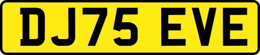 DJ75EVE