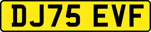 DJ75EVF