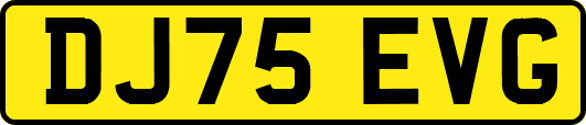 DJ75EVG