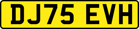 DJ75EVH