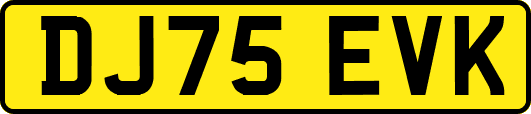 DJ75EVK