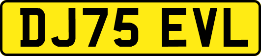 DJ75EVL