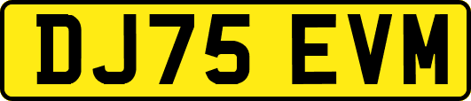 DJ75EVM