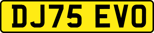 DJ75EVO
