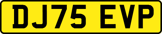DJ75EVP