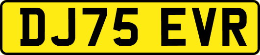 DJ75EVR