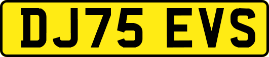 DJ75EVS