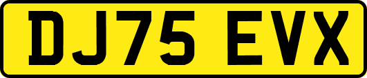 DJ75EVX
