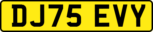 DJ75EVY