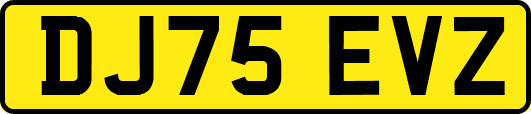 DJ75EVZ