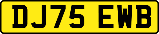 DJ75EWB