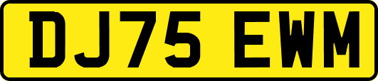 DJ75EWM