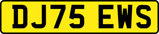 DJ75EWS
