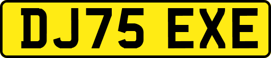 DJ75EXE