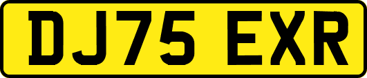 DJ75EXR