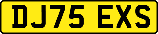 DJ75EXS