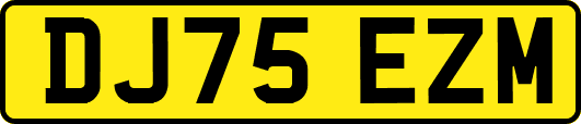 DJ75EZM