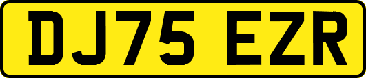 DJ75EZR
