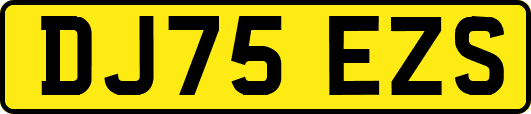 DJ75EZS