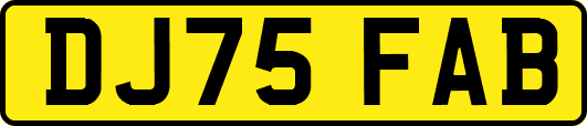 DJ75FAB
