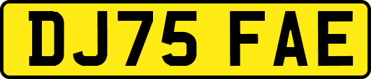 DJ75FAE