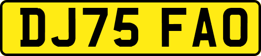 DJ75FAO