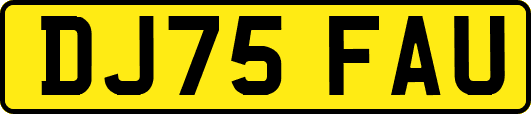 DJ75FAU