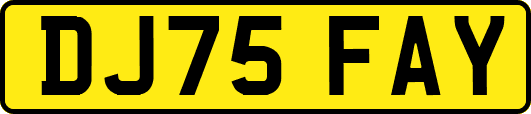DJ75FAY