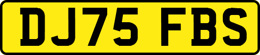 DJ75FBS
