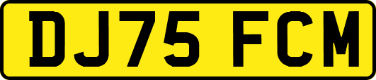 DJ75FCM