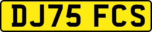 DJ75FCS